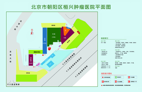 骚逼粉逼高清无码免费北京市朝阳区桓兴肿瘤医院平面图